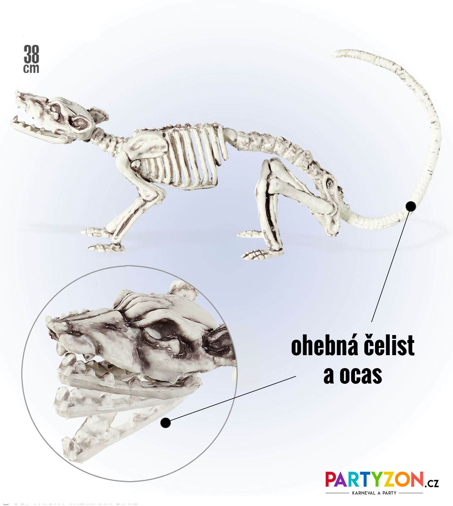 Dekorace kostra krysy